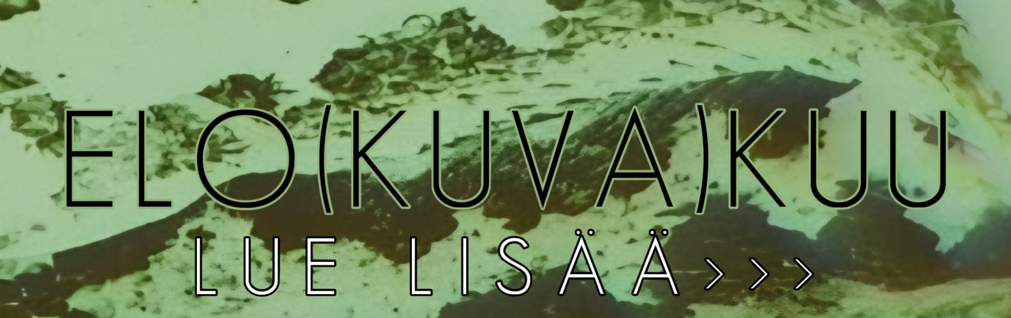 ELO(KUVA)KUU